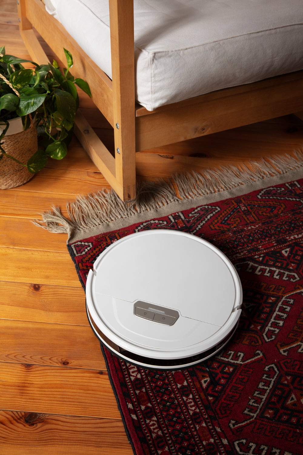 Lifestyle Gadgets